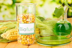 Newfound biofuel availability