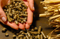 free Newfound biomass boiler quotes